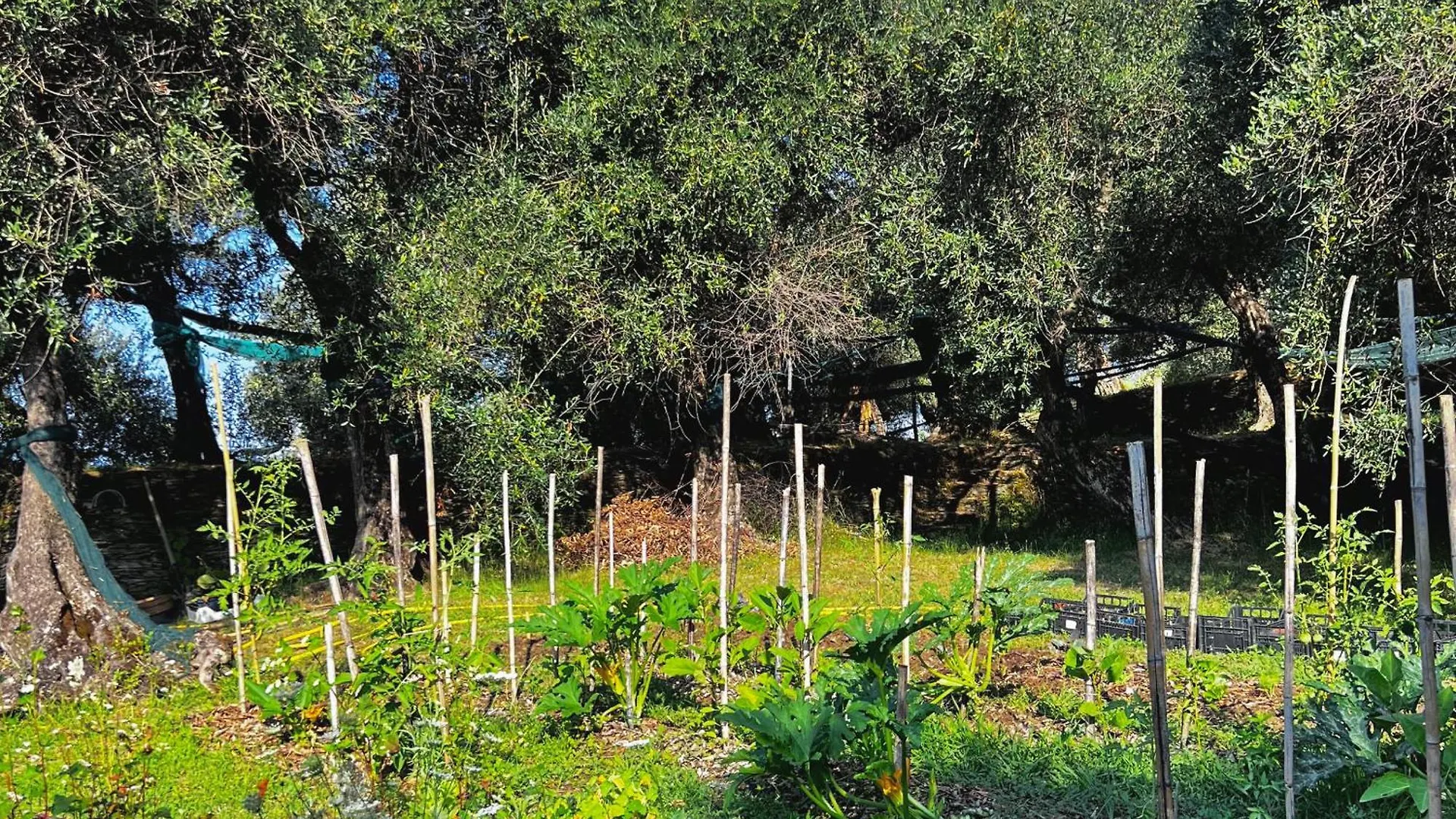 Casa Pernice Lavagna Affittacamere